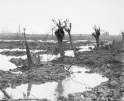 Zonnebeke, near Passchendaele